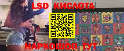 дмт Кингисепп