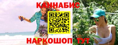 дмт Кингисепп
