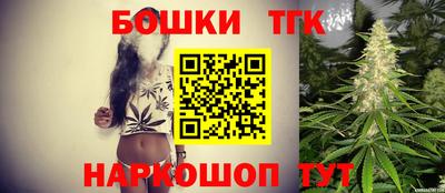 дмт Кингисепп