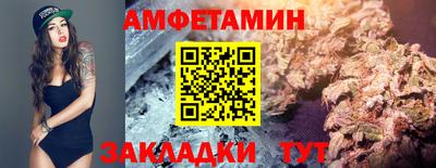 дмт Кингисепп